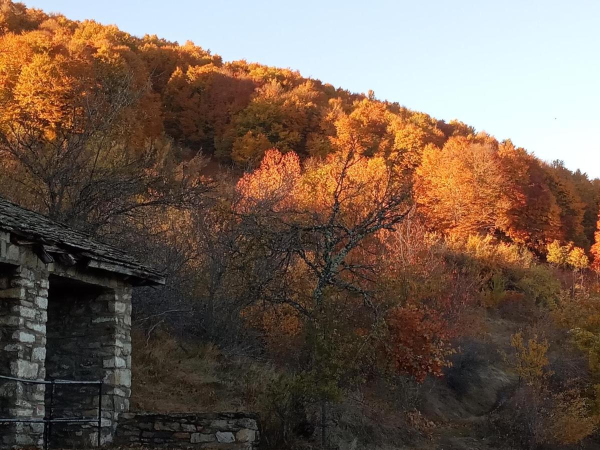 Guesthouse Kontogianni - Materka Nimfaíon 外观 照片